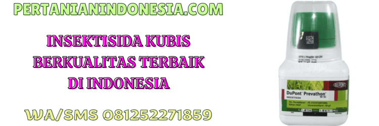 insektisida,kubis,pestisida,terbaik,pertanian indonesia